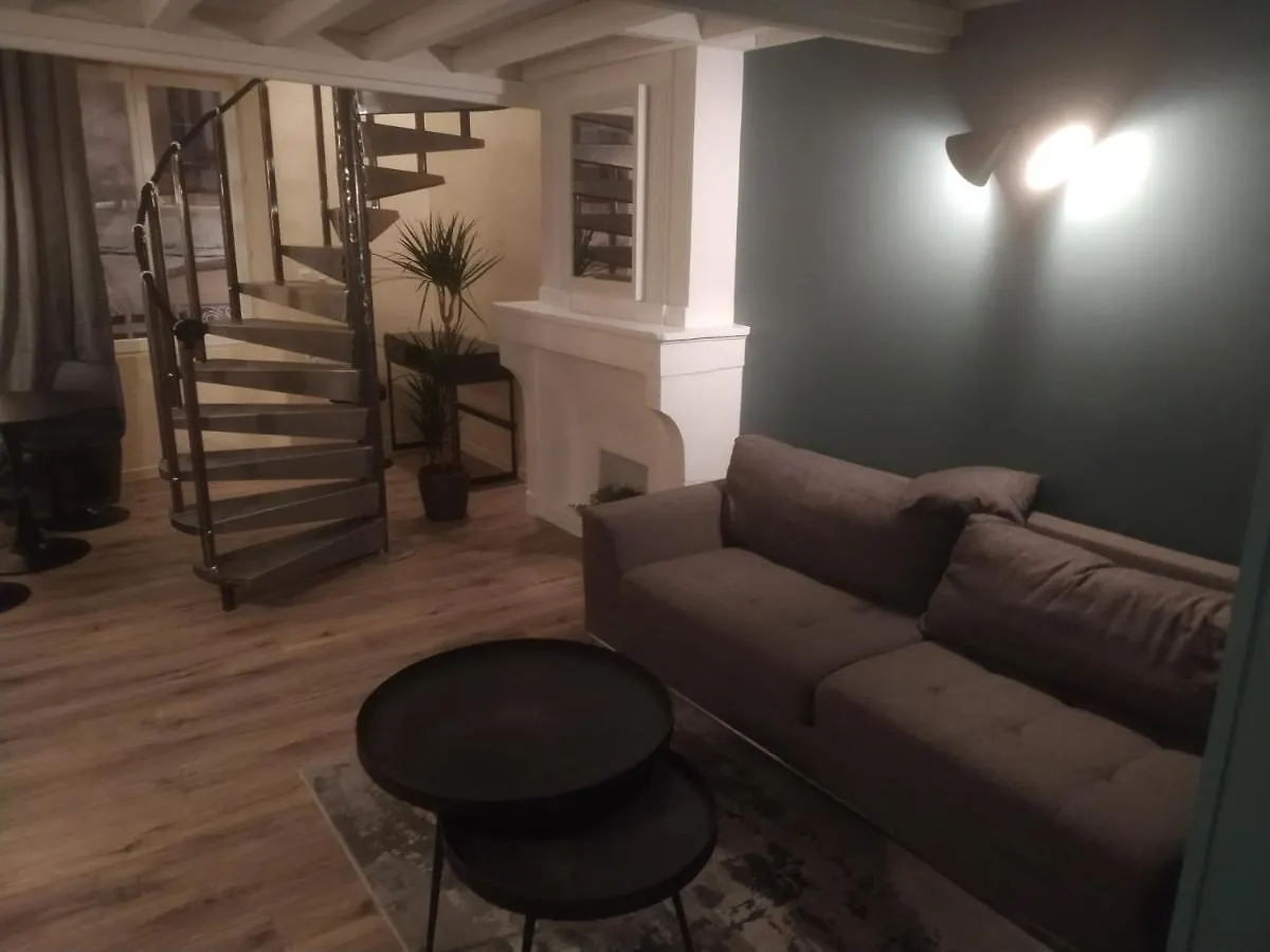 Appartement Duplex Viennois à Vienne  France
