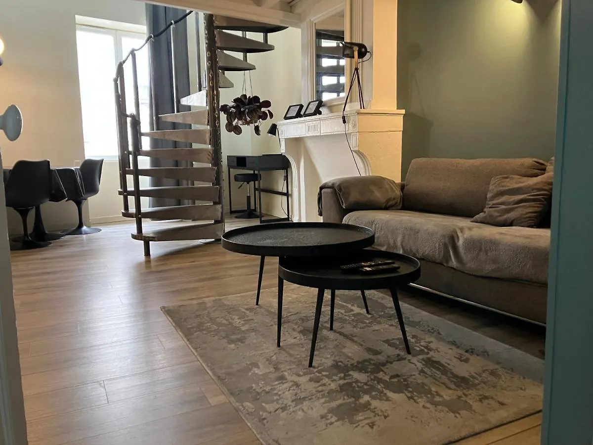 شقة Duplex Viennois فيين 0*,  فرنسا